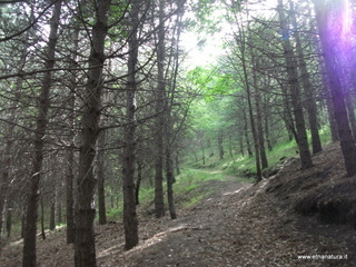 Monte Grosso